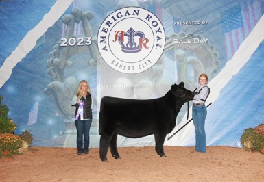 2023 American Royal